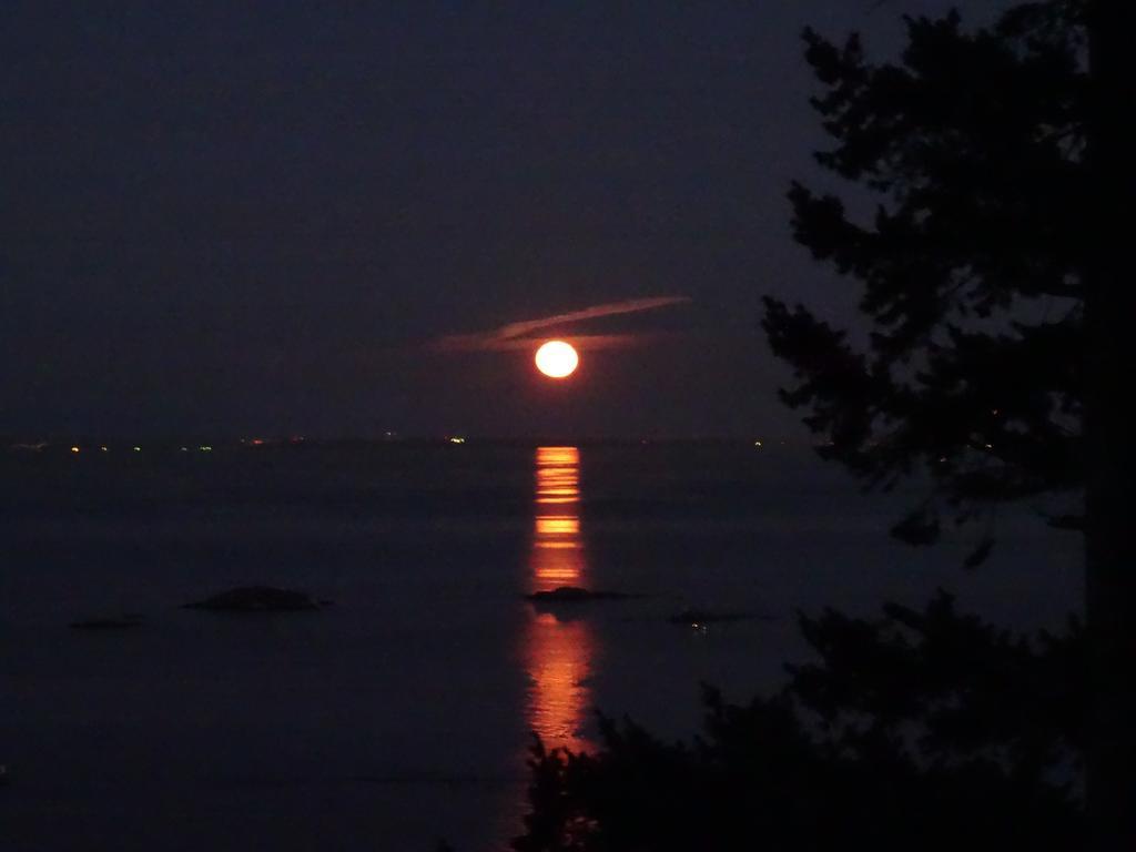 Homestay Gibralter Rock Ocean View B&B Nanaimo